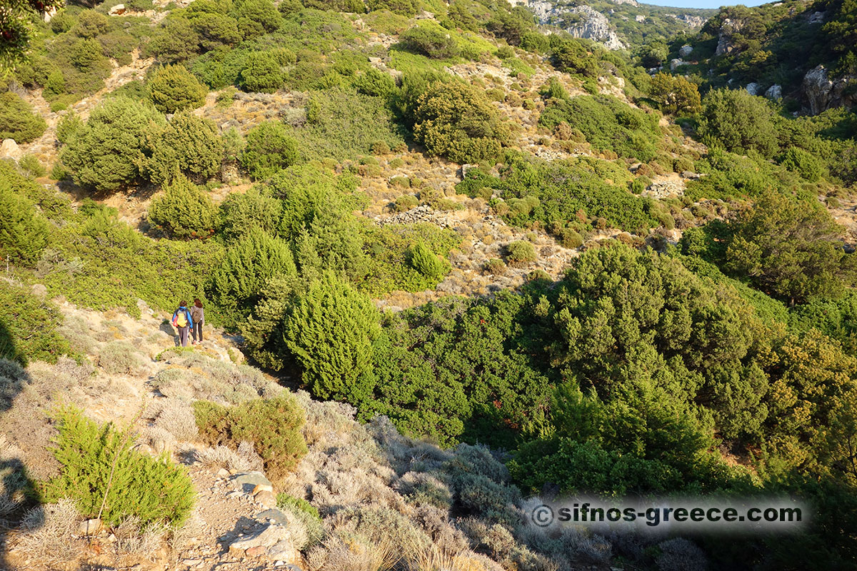 Vandring i Natura-området i Sifnos